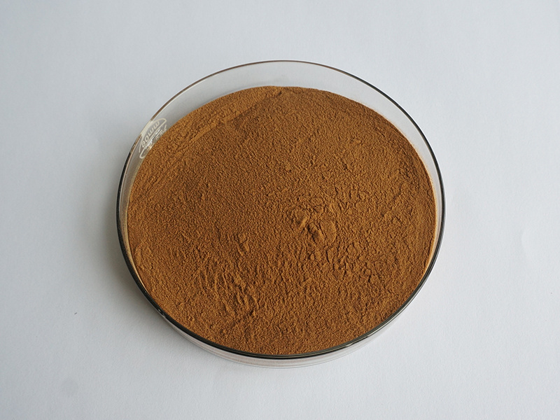 Insen Bulk Stock Guava Extract Guava Powder