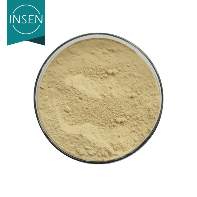 Pure Natural Bitter Orange Extract Hesperidin Powder