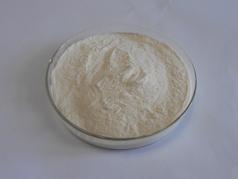 Hot Health Supplement White Kidney Bean Extract Powder