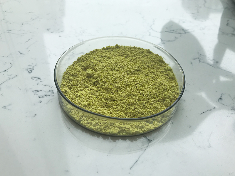 Natural Supplements 98% Quercetin Sophora Japonica Extract