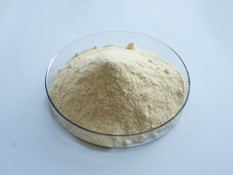 Soy Source Phospholipid Phosphatidylserine Powder