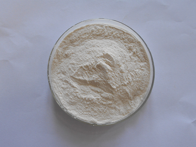 Hot Health Supplement White Kidney Bean Extract Powder