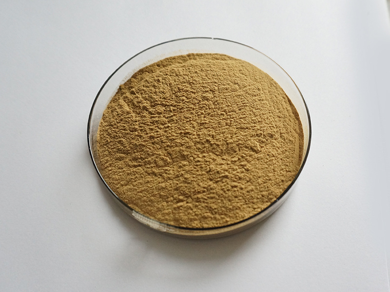 100% Natural Chlorogenic Acid Eucommia Ulmoides Extract