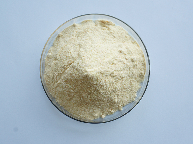 Soy Source Phospholipid Phosphatidylserine Powder