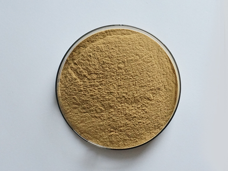 100% Natural Chlorogenic Acid Eucommia Ulmoides Extract