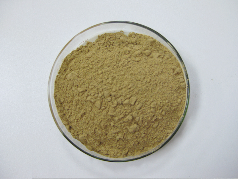 Cyanotis Vaga Extract Beta-Ecdysterone