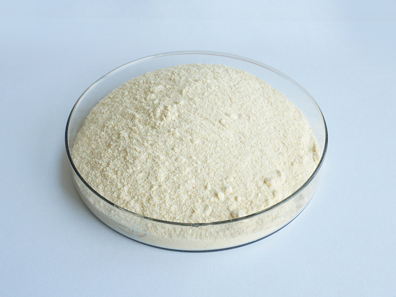 Soy Source Phospholipid Phosphatidylserine Powder