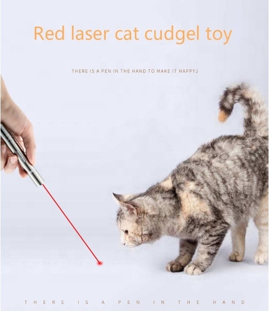 7-in-1 Design  Multi Pattern Lazer Dot UV Light LED Flashlight Laser Pointer Cat Toy  USB Rechargeable  cat laser toy