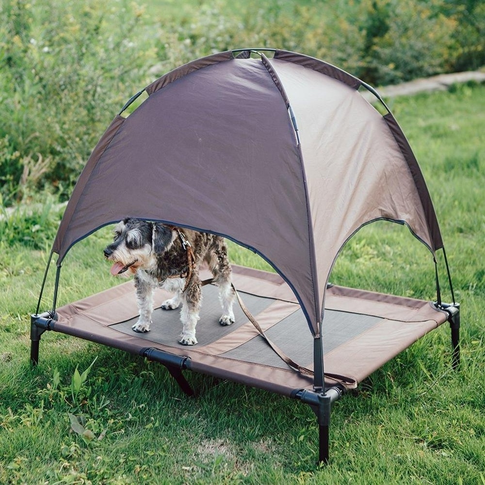 Raised Mesh Cot Cooling Dog Bed with Removable Canopy Shade Tent, Travel Bag, Breathable Fabric Foldable Pet Cot