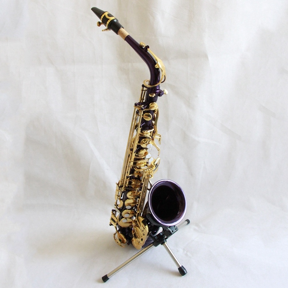 Beginner practice alto saxophone Good quality saxophone alto alto Purple body with Gold keys Saxophone