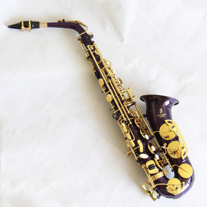 Beginner practice alto saxophone Good quality saxophone alto alto Purple body with Gold keys Saxophone