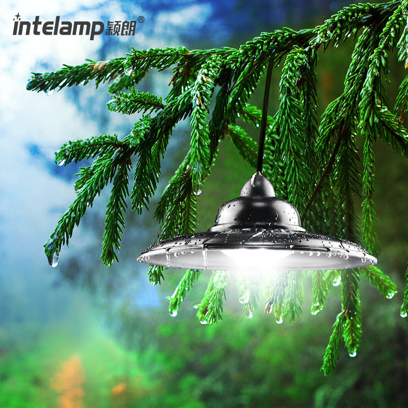 intelamp Remote Control Outdoor Super Brightness LED Lighting Pendant Modern Lamp Hanging Light