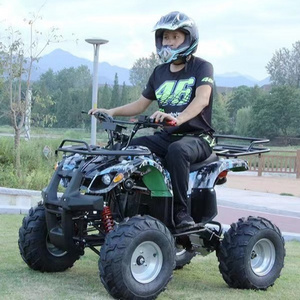 Atv Electric 48v 20ah 800w Electric Atv Lithium Battery Electric Atv Toy Shaft Drive Electric  4 Wheeler Quad Bikes