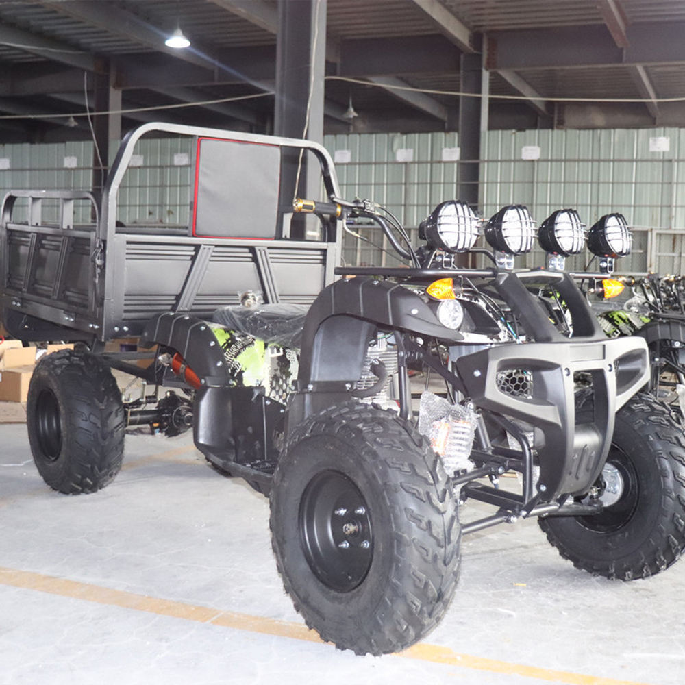 Cuatrimoto 4x4 Four-Wheel 125cc 200cc Off-Road ATV Farm ATV 250cc Water-Cooled UTV Quad Bike Farm ATV with Trailer