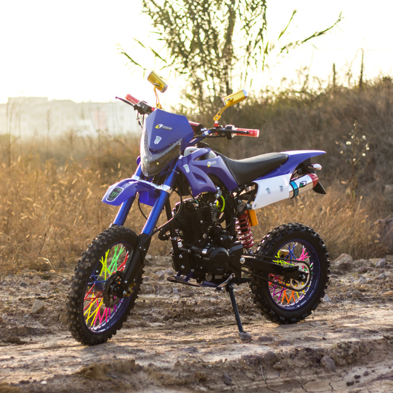 chinese Dirtbike 4 Stroke Big Wheel Dirt Pit Bike Gasoline Motorcycles 125 cc 50cc 250cc Air Cool Kick And Electric Start