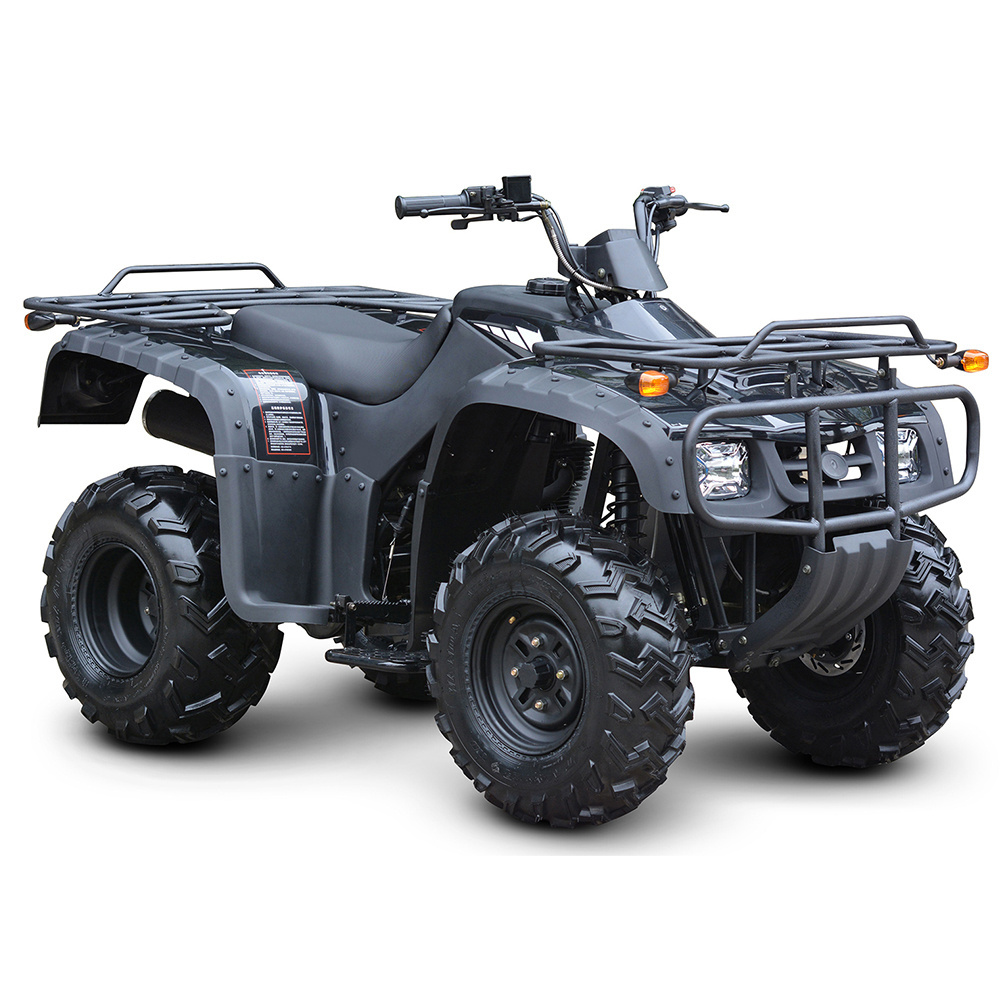 250cc atv motocicletas All-terrain Four-Wheel 250cc 4x4 2x4 Motorcycle Adult Off Road Electric ATV