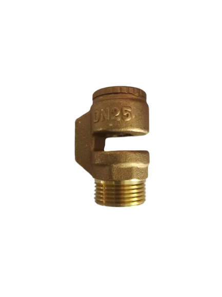 Bronze Anti-Siphon Vacuum Breaker hot or cold water brass valve pn16