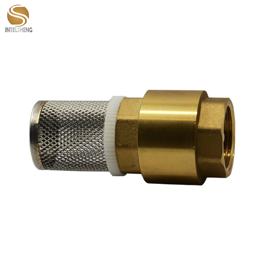 New Back Pressure Brass Check Valve with copper Core