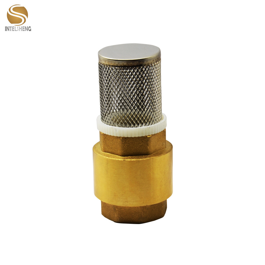 New Back Pressure Brass Check Valve with copper Core