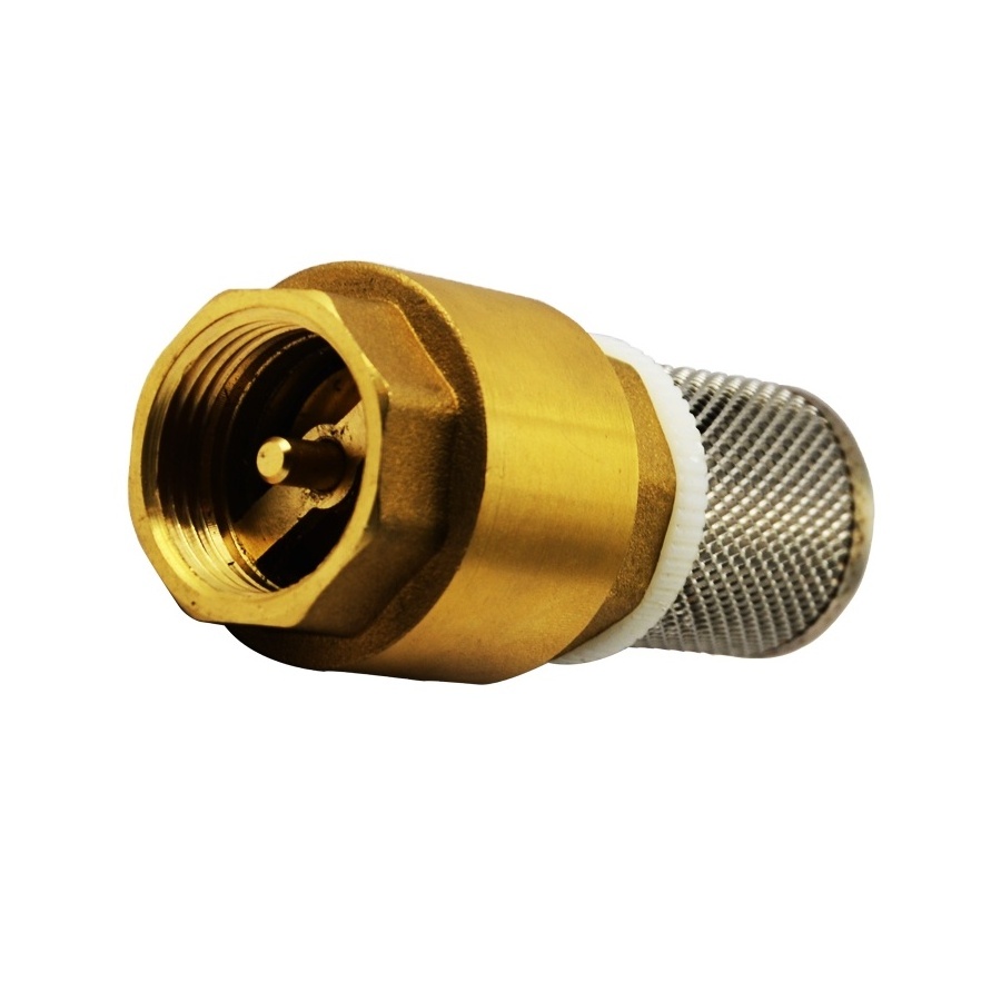 New Back Pressure Brass Check Valve with copper Core