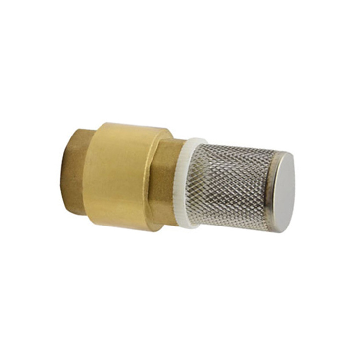 New Back Pressure Brass Check Valve with copper Core