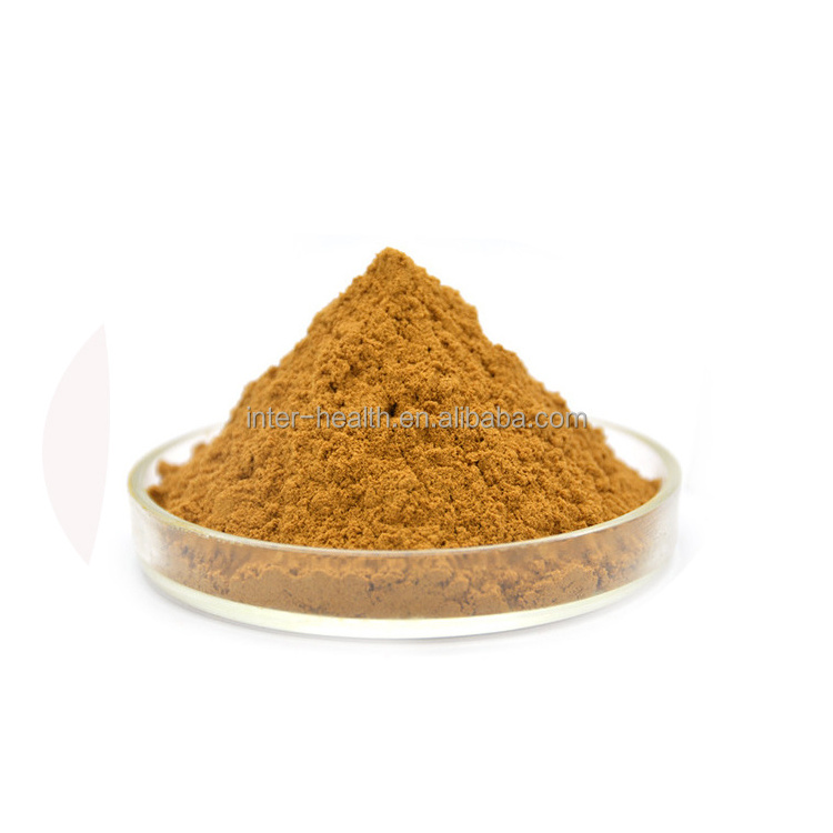 High Quality Organic Shitake Mushroom Extract polysaccharides Shiitake Mushroom powder