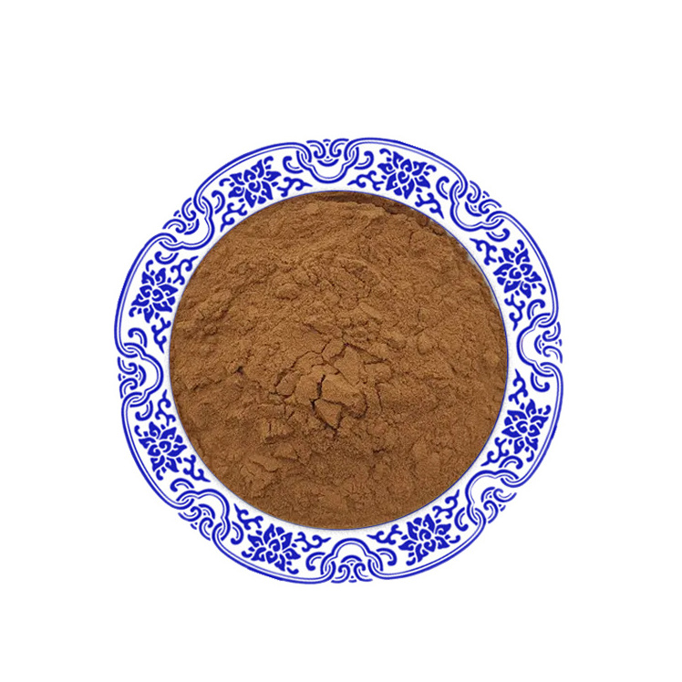 Wholesale Black Garlic Extract 10:1, 20:1 Allicin Powder Black Garlic Powder