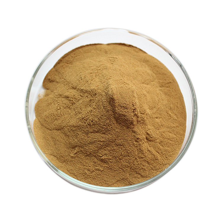 Wholesale Bulk Rosehip Fruit Extract Vitamin VC 5% 25% Rose hip Extract Powder