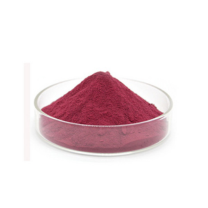 Natural pigment Water Soluble 10%-20% Black Carrot powder Black carrot extract