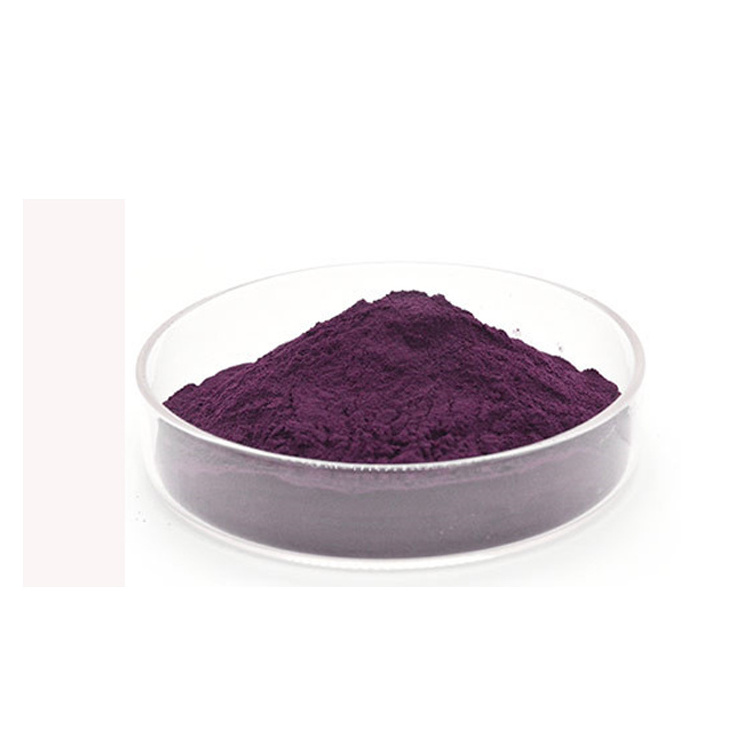 Best price food grade Black bean Extract soybean Powder 25% anthocyanins