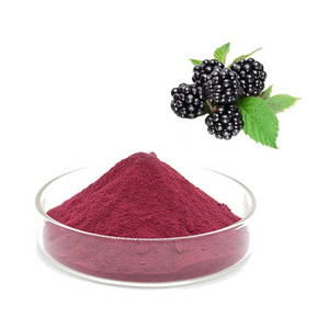 Food Grade Natural Mulberry Extract Organic Mulberry Fruit Juice Powder