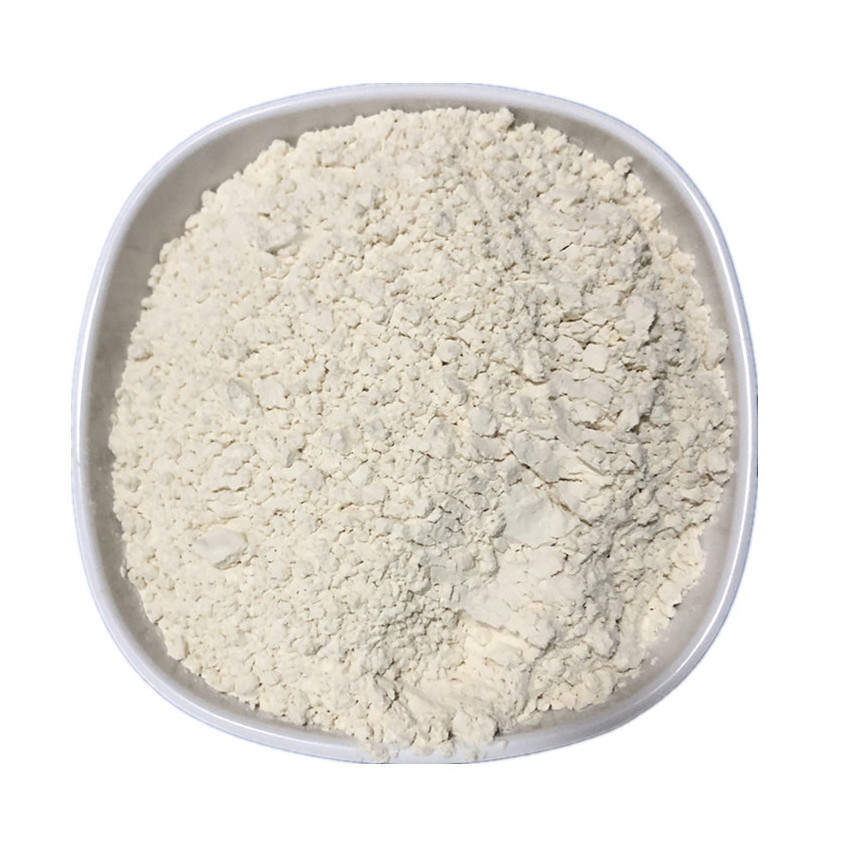 Top quality methyl-hesperidin Bitter Orange Peel Extract 90% Hesperidin Powder