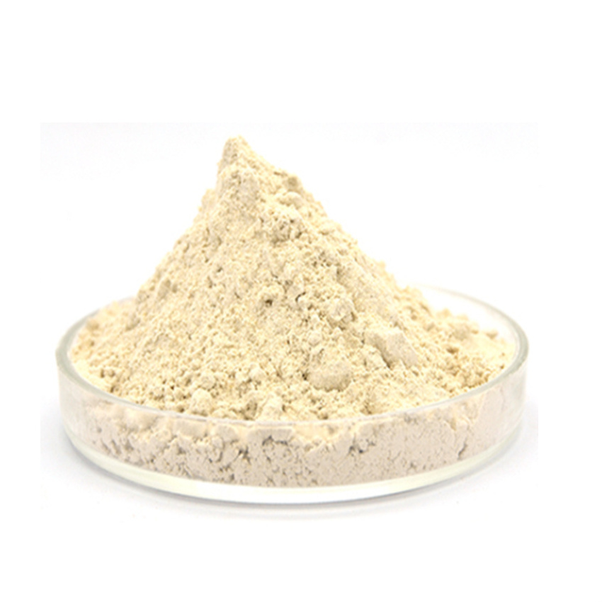 Top quality soya extract CAS 9010-10-0 Isolated Soy Protein powder