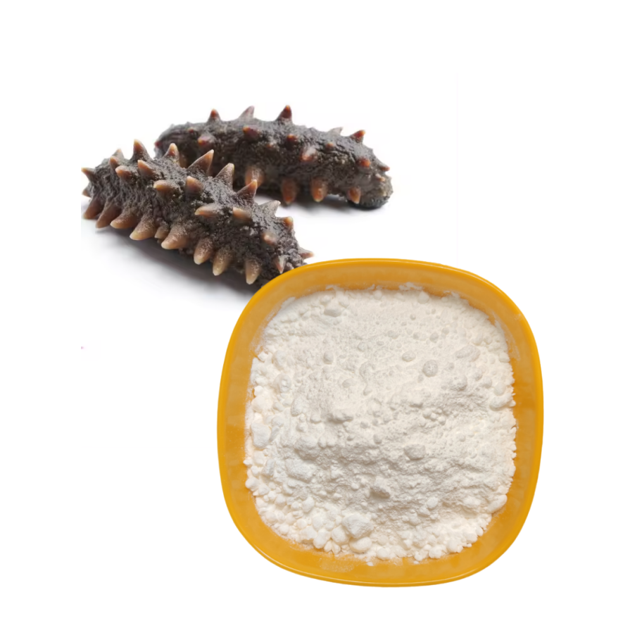 Supply pure Extract buyers price intestinal protein powder Enzymatic sea cucumber Peptides