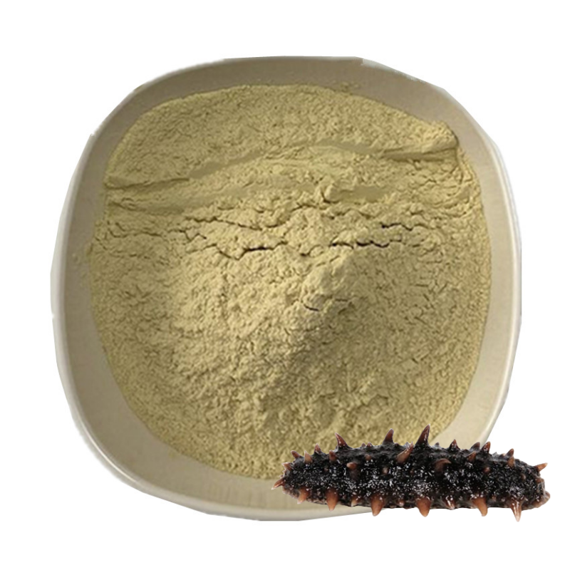 Bulk Sea Cucumber Extract intestinal protein peptides Enzymatic Sea Cucumber Polypeptide Powder