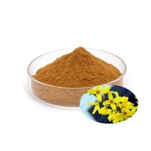 Top quality Natural Forsythia Fructus plant extract food grade 4% Phillyrin Powder