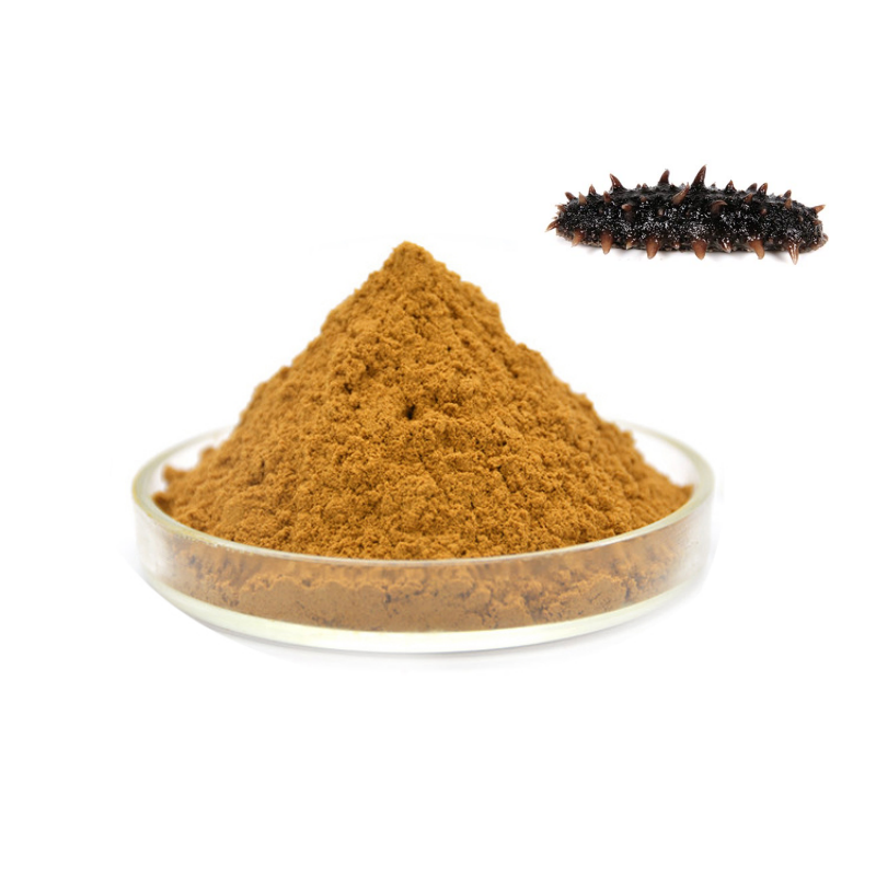 Raw Materials Sample packing 50g/bag Sea Cucumber Extract Powder