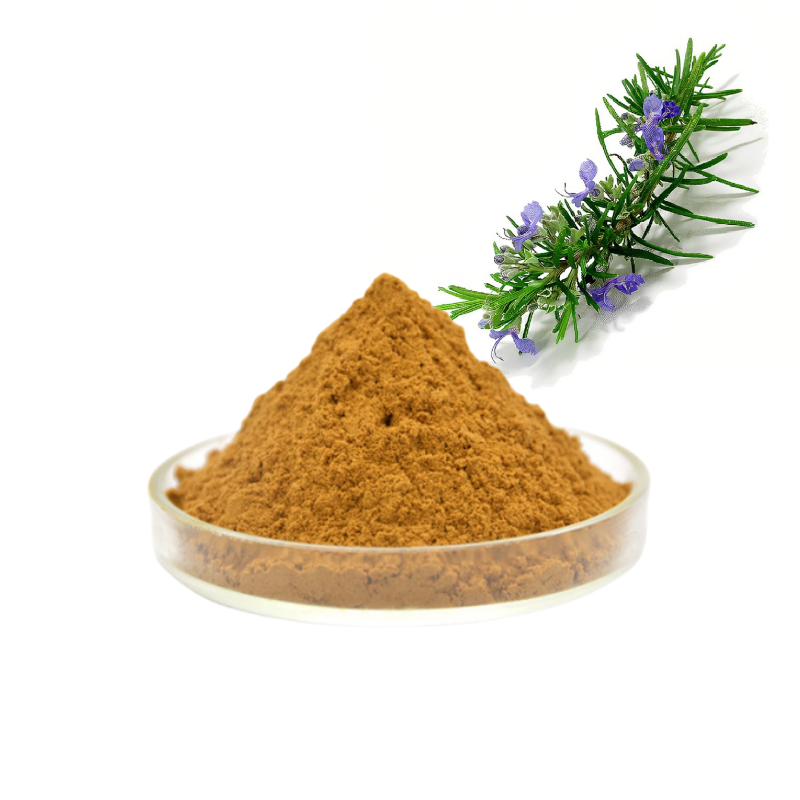 Low price rosemary Leaf extract 6% 30% carnosic acid 70% powder CAS 3650 09 7 Carnosic Acid