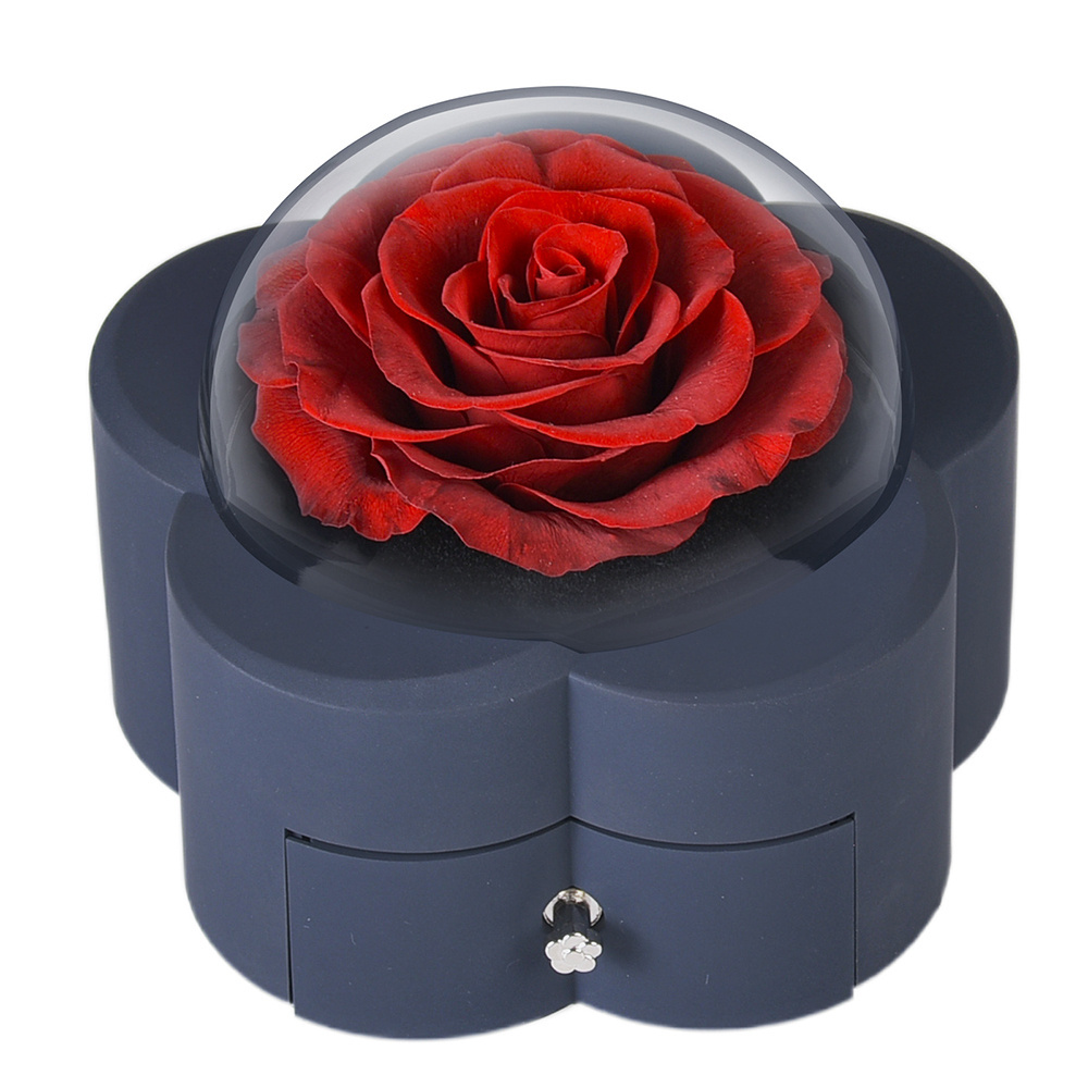 INUNION Forever Roses Jewelry Box Gift Box with Eternal Rose and Necklace