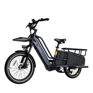 New Style Fat E Cargo Bike EU Bafang 250W US 750W Cargo Bike with Shock Absorber