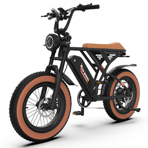 Retro Fatbike Design 20inch Fat Tire 7 Speed Winter Moped Style Ebike Electric Dirt Bike With 32mph