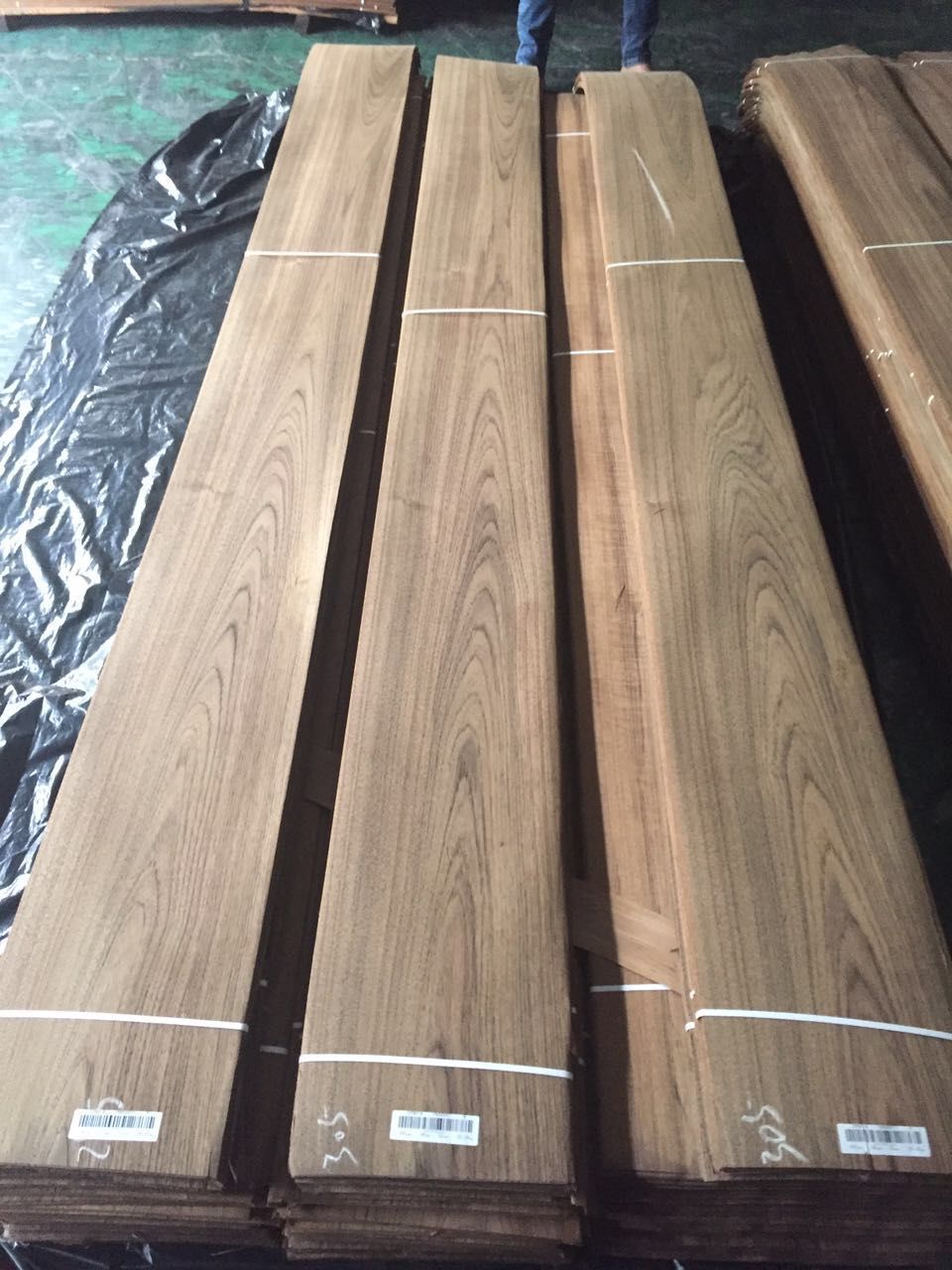 Crown Cut Myanmar Teak Wood Veneer for Furniture