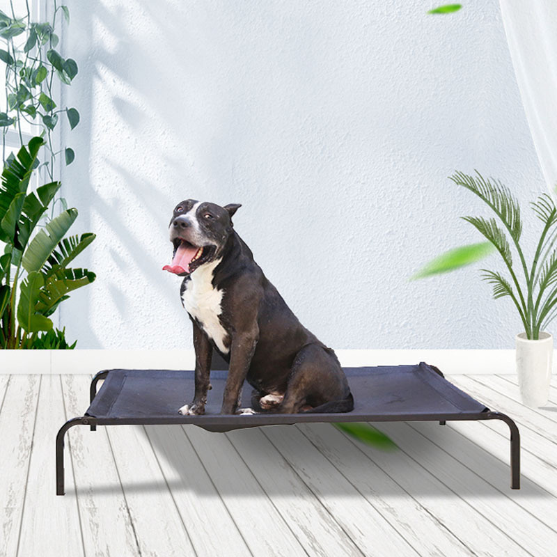 Pet Dog Raised Beds Pet Cat Elevated Cooling Portable Indoor & Outdoor Bed with Steel-Framed Feet