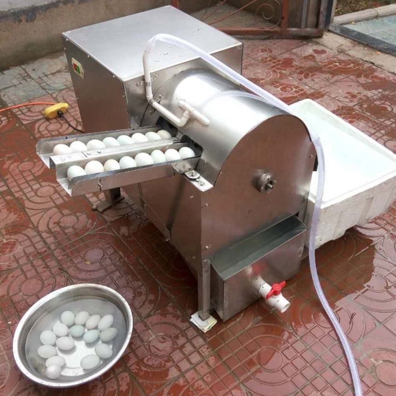 Automatic Egg Cleaner Easy To Operate Brush Type Commercial Farm Goose Egg Cleaning Egg Washer Machine