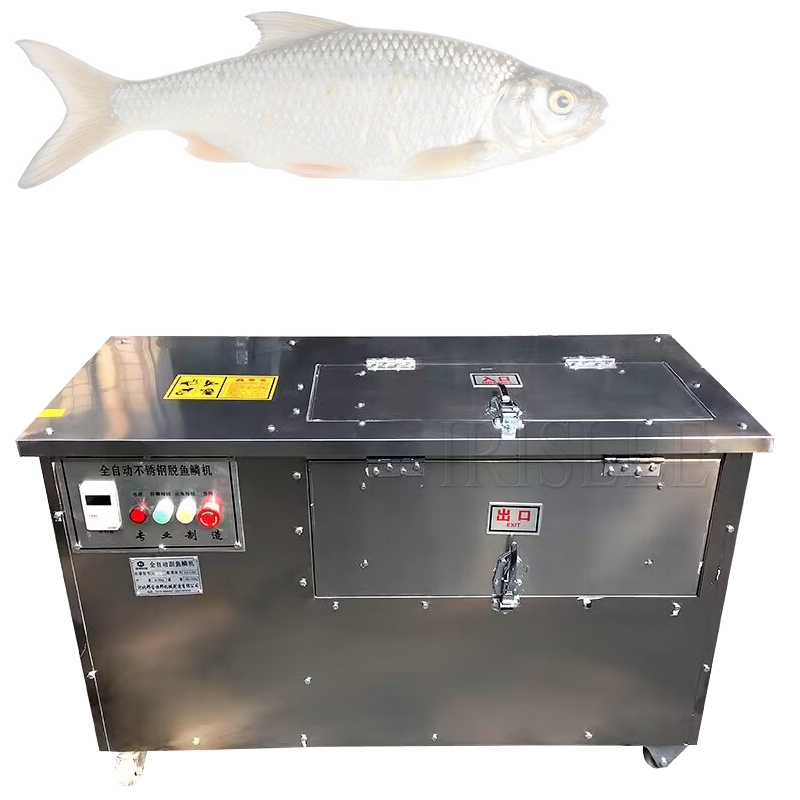 Best Price Large Capacity Fish Scale Remover / Fish Scaler / Fish Scale Cleaning Machine