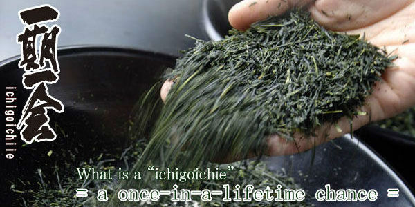 Fresh taste high quality instant green tea for health care product made in Japan