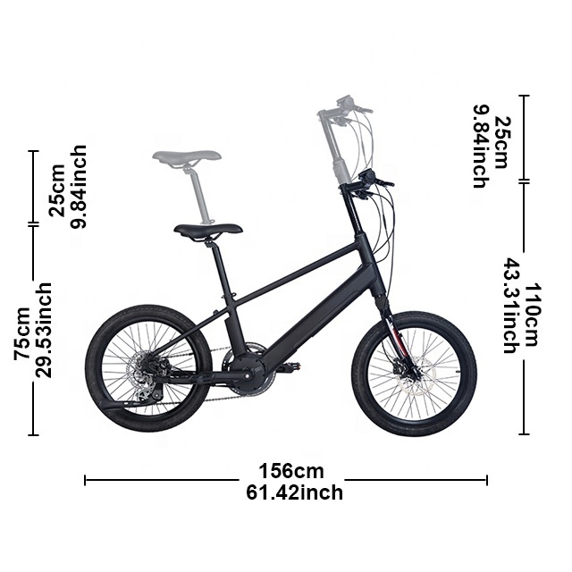 Customized Color Hydraulic Disc Brake 20 Inch Fat Tire 8 Speed 9.5AH 36V 250W Middle Motor Ebike Battery Electric Ebike