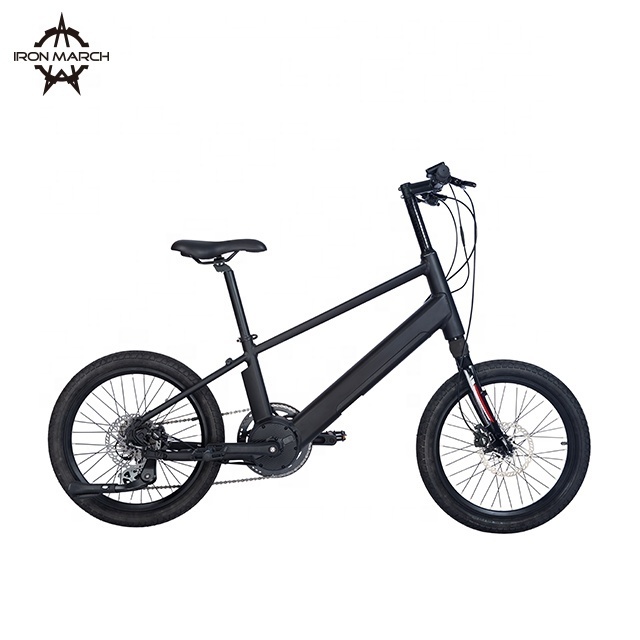 Customized Color Hydraulic Disc Brake 20 Inch Fat Tire 8 Speed 9.5AH 36V 250W Middle Motor Ebike Battery Electric Ebike