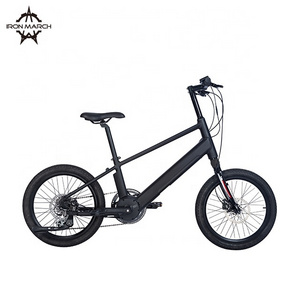 Customized Color Hydraulic Disc Brake 20 Inch Fat Tire 8 Speed 9.5AH 36V 250W Middle Motor Ebike Battery Electric Ebike