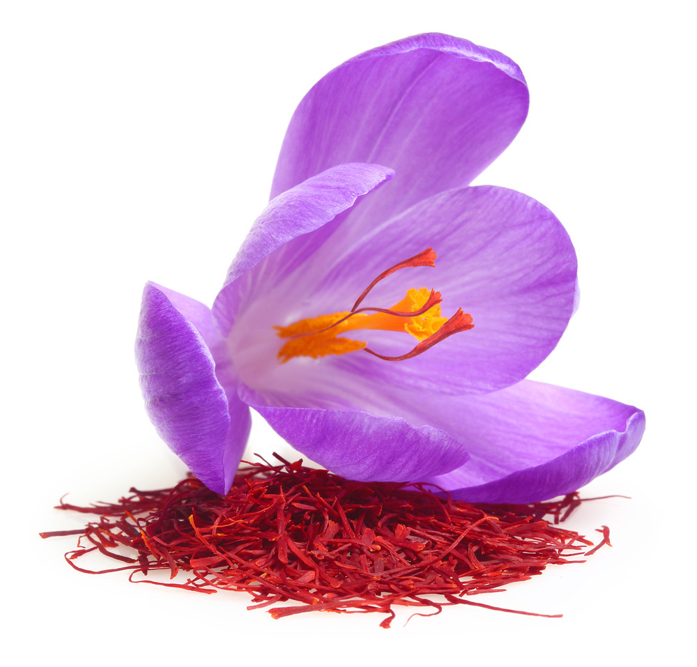 Kesar Saffron Zafran zaafaran fan hong hua safran  zaffarano azafran krokos Crocus sativus Mongra Super Negin